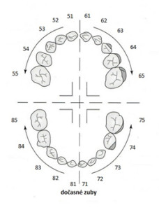 znaceni_zubu_děti